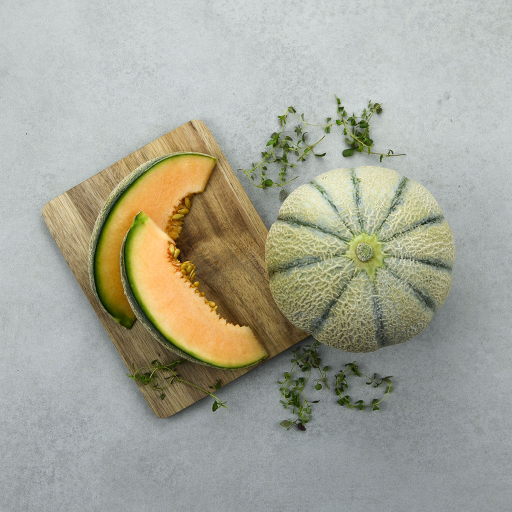 cantalouope melon